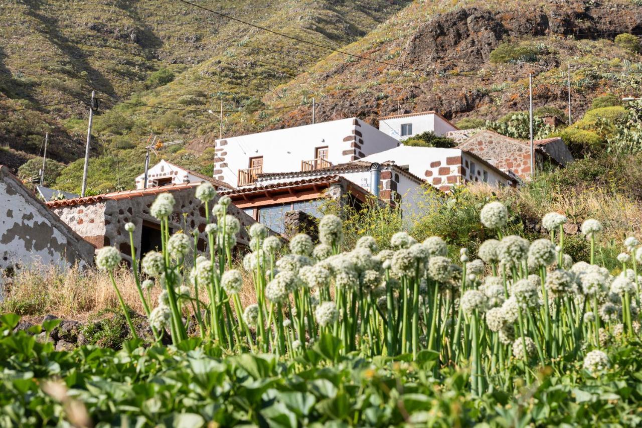 Home2Book Nature Carrizales And Masca House & Wifi Buenavista Del Norte Bagian luar foto