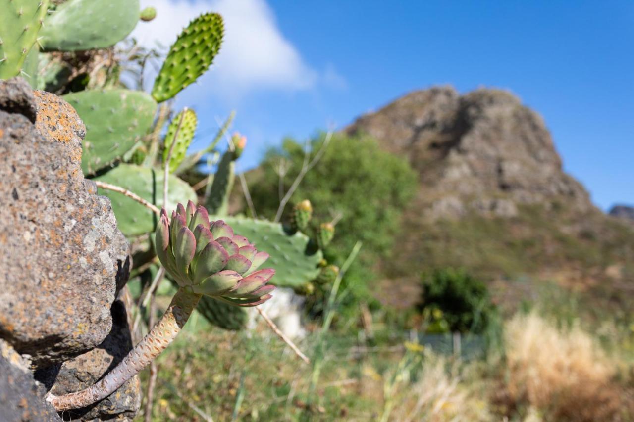 Home2Book Nature Carrizales And Masca House & Wifi Buenavista Del Norte Bagian luar foto